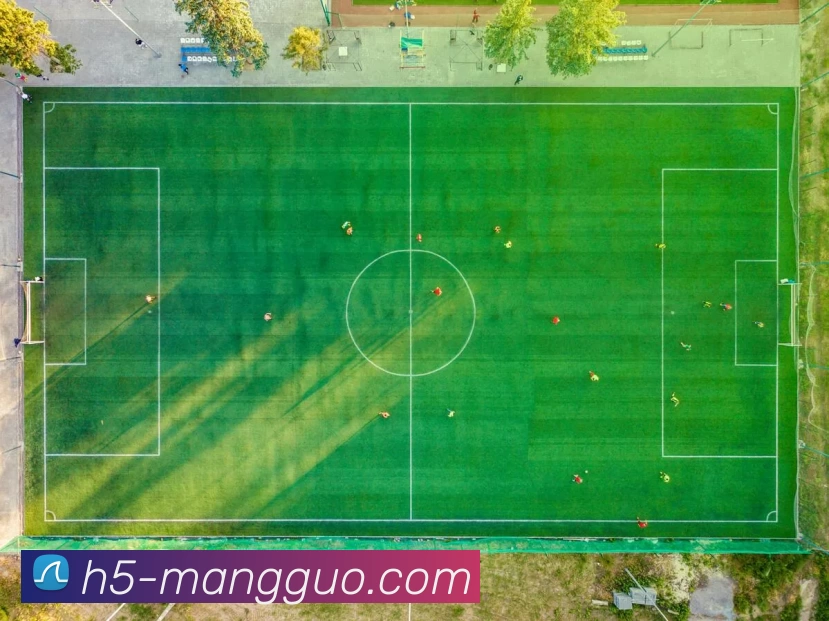 芒果体育官网平台生态图